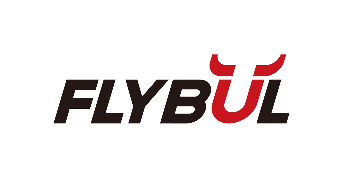 FLYBUL标志形象设计